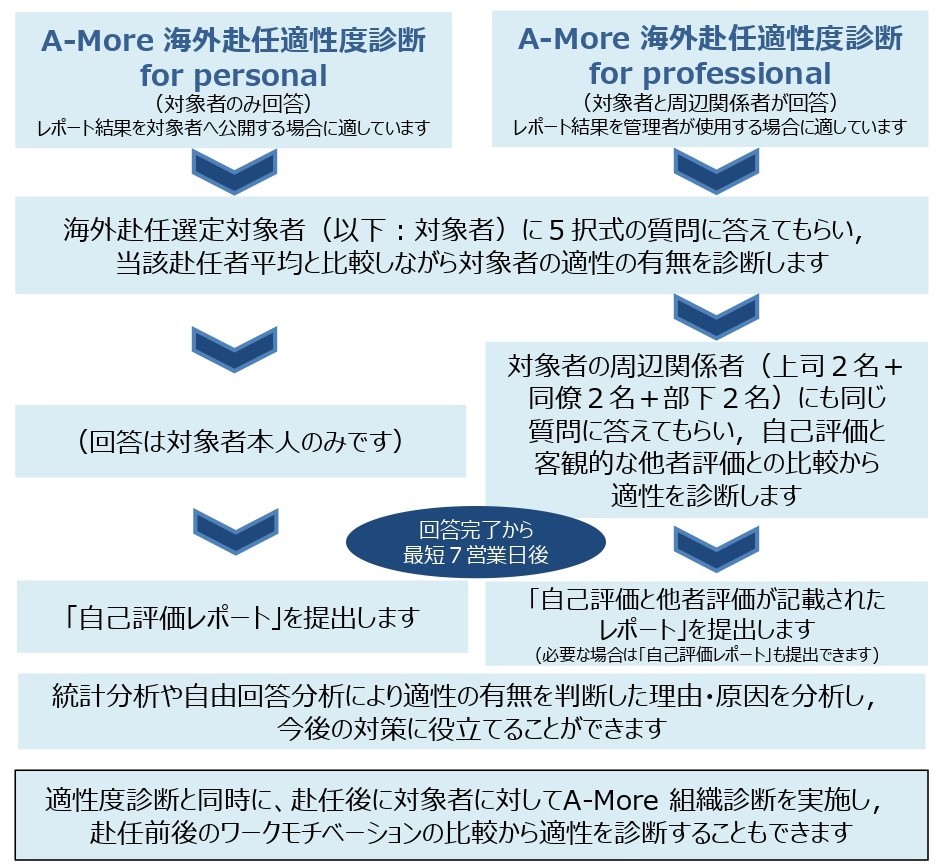 A More 海外赴任適性度診断 株式会社a More